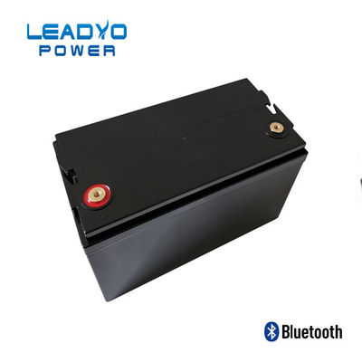 Baterai LEADYO BMS Marine Lifepo4 12V 100amp Plastik Screwable Case