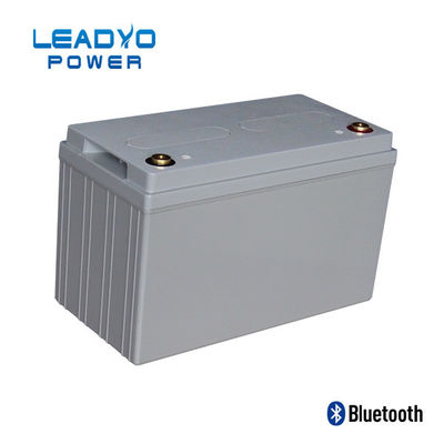 Baterai Lifepo4 12V 120ah Tersegel Dengan Kasing Bluetooth BMS ABS