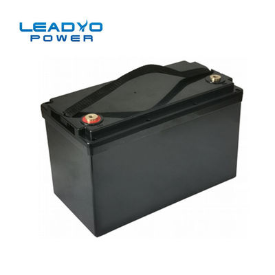 Baterai Leadyo Smart BMS Lifepo4 12V 100ah 1280Wh Black Screwable ABS Case